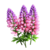 pngtree 3d lupine flower png ima